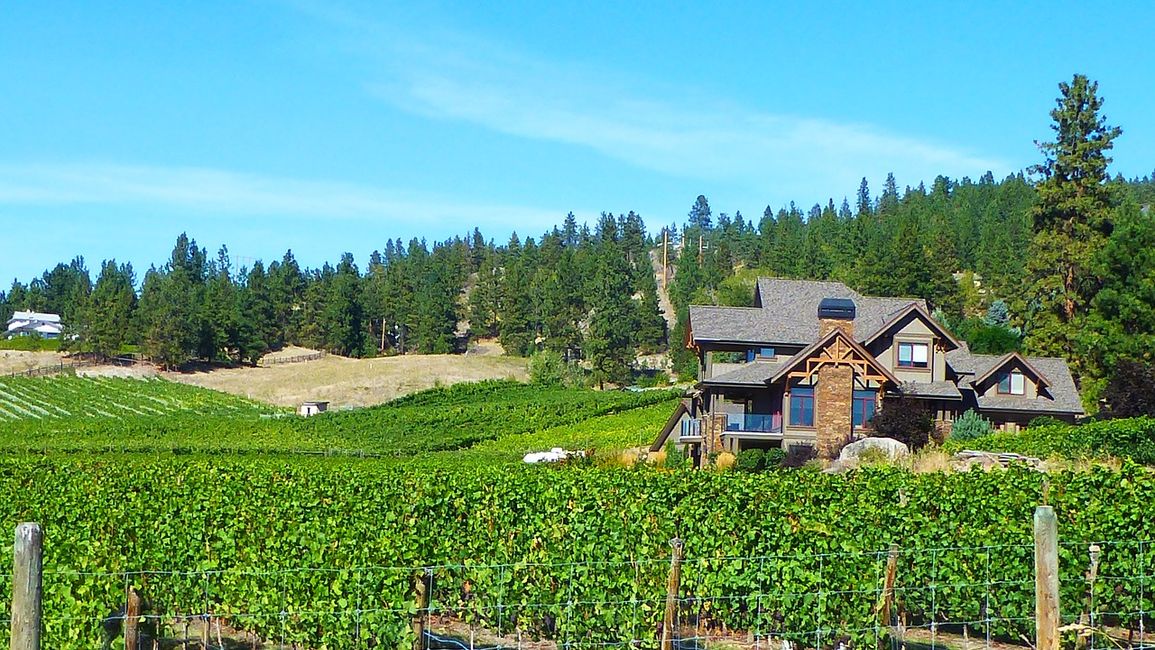 Taste Lake Country: Hop Aboard Okanagan Wine Tours for Scenic Sip Event